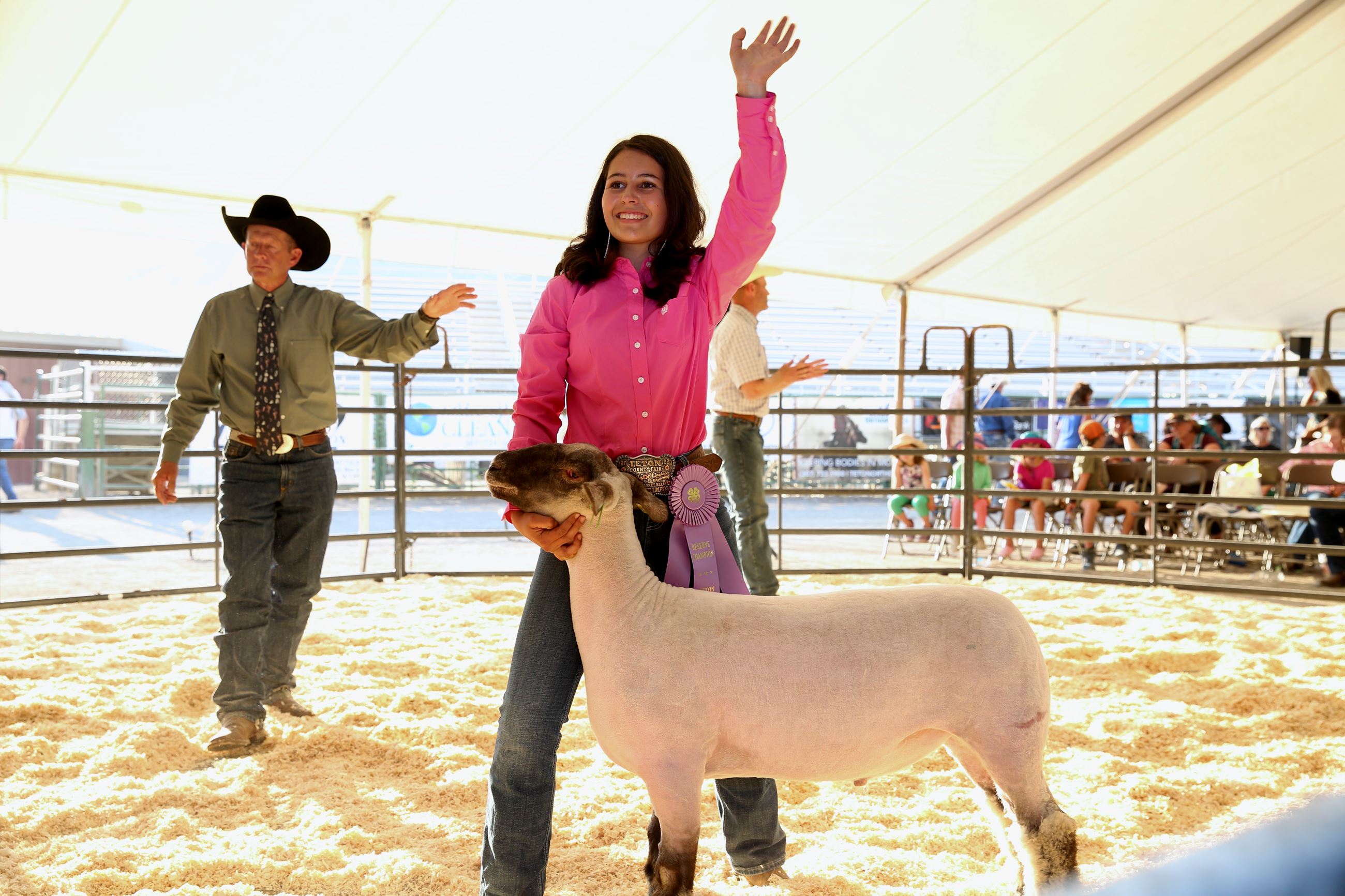 Girl Showing Sheep Waves at Crowd