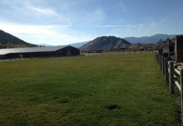 Grassy arena (looking southwest)